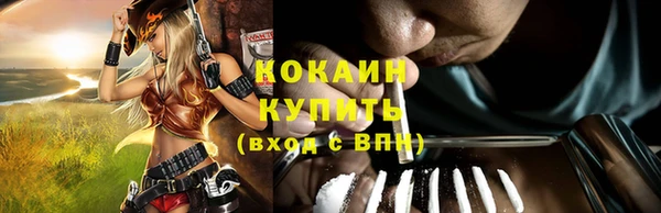 PSILOCYBIN Лихославль