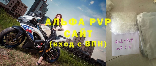 СК Билибино
