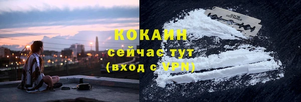 PSILOCYBIN Лихославль